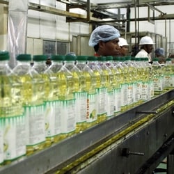  India has cut the basic import duty on crude and refined edible oils, including palm oil, soyoil and sunflower oil, the government said in a notification