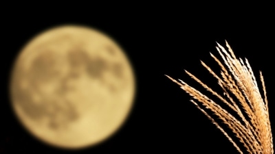 A Harvest Full Moon or the September Full Moon. (Photo by Katsumi Murouchi via Getty Images) A Harvest Full Moon or the September Full Moon. (Photo by Katsumi Murouchi via Getty Images)