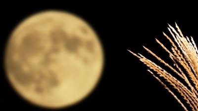 A Harvest Full Moon or the September Full Moon. (Photo by Katsumi Murouchi via Getty Images) A Harvest Full Moon or the September Full Moon. (Photo by Katsumi Murouchi via Getty Images)