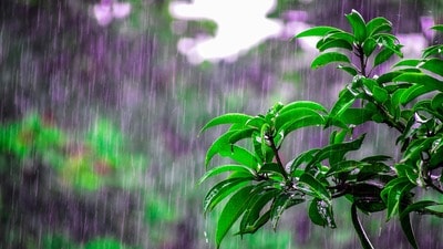<p> హైదరాబాద్ నగరంలో మంగళవారం పలు ప్రాంతాల్లో భారీ వర్షం కురిసింది. ఇవాళ కూడా వర్ష సూచన ఉండటంతో…. లోతట్టు ప్రాంతాల ప్రజలు, వాహనదారులు జాగ్రత్తగా ఉండాలని, విద్యుత్ స్తంభాలు, పాత భవనాల వద్ద నిలబడవద్దని వాతావరణ శాఖ హెచ్చరిస్తోంది.</p> <p> హైదరాబాద్ నగరంలో మంగళవారం పలు ప్రాంతాల్లో భారీ వర్షం కురిసింది. ఇవాళ కూడా వర్ష సూచన ఉండటంతో…. లోతట్టు ప్రాంతాల ప్రజలు, వాహనదారులు జాగ్రత్తగా ఉండాలని, విద్యుత్ స్తంభాలు, పాత భవనాల వద్ద నిలబడవద్దని వాతావరణ శాఖ హెచ్చరిస్తోంది.</p>