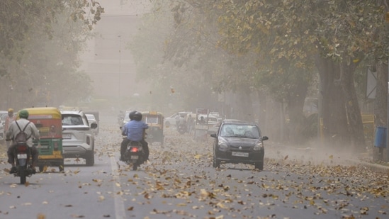 MCD officials cited disruptions in bitumen supplies linked to the roadwork. (PTI)