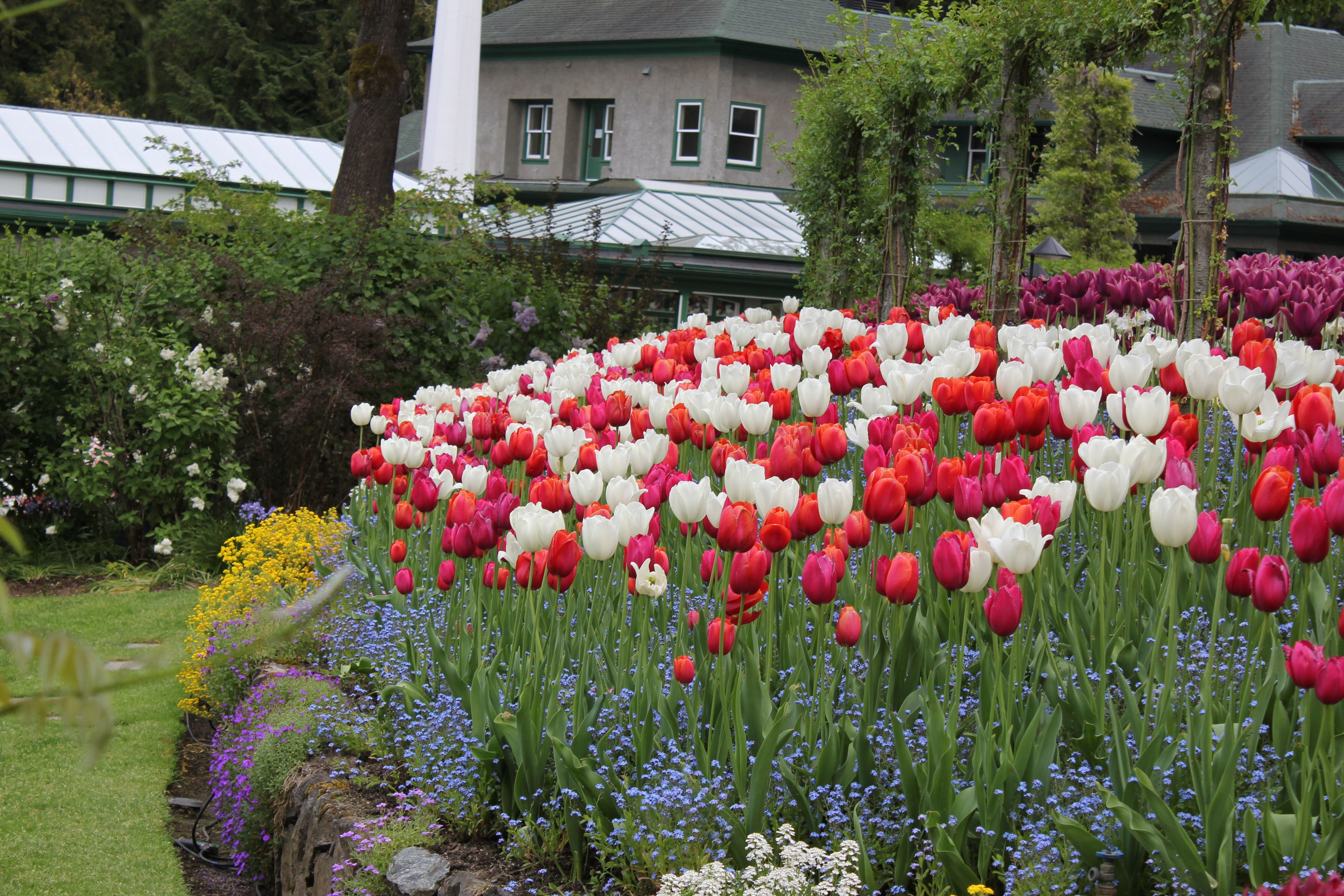 What makes Butchart Gardens particularly remarkable is its history of transformation. (Pexel) What makes Butchart Gardens particularly remarkable is its history of transformation. (Pexel)