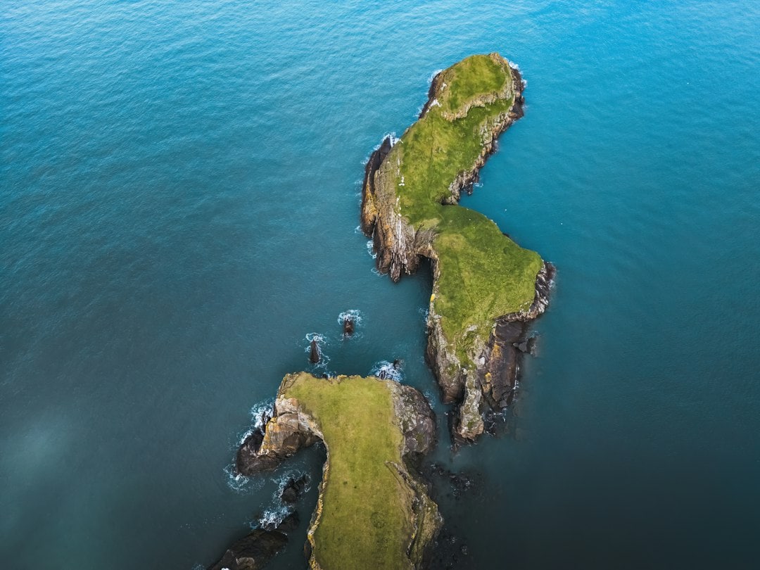 Research on Lord Howe Island shows significant invertebrate recovery post-rodent eradication but highlights complexities. While invertebrate numbers rose, diversity remained constant, and previous losses were profound, illustrating ongoing ecological impacts from past disturbances. (Representational/Unsplash) Research on Lord Howe Island shows significant invertebrate recovery post-rodent eradication but highlights complexities. While invertebrate numbers rose, diversity remained constant, and previous losses were profound, illustrating ongoing ecological impacts from past disturbances. (Representational/Unsplash)