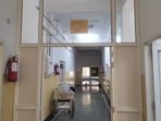 Punjab is witnessing a spike in swine flu (H1N1) infections with 384 confirmed cases and five deaths in the last two months. (HT Photo)