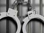 The accused have been booked under Sections 125 and 351(2) of the BNS and Sections 25, 54 and 59 of the Arms Act. (HT)