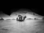 ప్రతీకాత్మక చిత్రం