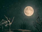 Let's delve a bit deeper into the energy of the new moon. ( Representational Image)