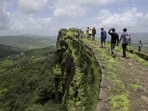 The Western Ghats stretch 1,600 km along India's west coast, across Gujarat, Maharashtra, Goa, Karnataka, Tamil Nadu and Kerala.(HT Photo)