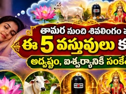 తామర పువ్వు నుంచి శివలింగం వరకు ఈ 5 వస్తువులు కనిపిస్తే అదృష్టం, ఐశ్వర్యానికి సంకేతమట!