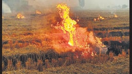 Haryana to use drones to detect farm fires Haryana to use drones to detect farm fires