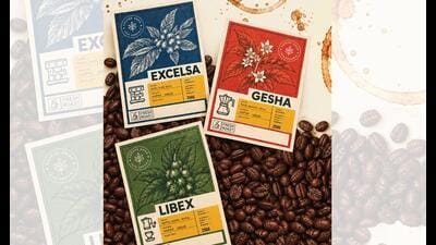 Excelsa, Libex and Gesha are appearing on café menus. (ILLUSTRATION CREATED BY LEELA USING CHATGPT) Excelsa, Libex and Gesha are appearing on café menus. (ILLUSTRATION CREATED BY LEELA USING CHATGPT)