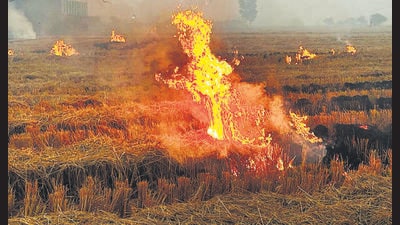 For field monitoring, the state has deputed 8,134 village-level nodal officers. (HT File) For field monitoring, the state has deputed 8,134 village-level nodal officers. (HT File)