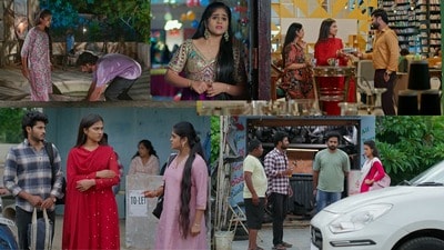 పొదరిల్లు సీరియల్ సెప్టెంబర్ 24 ఎపిసోడ్ పొదరిల్లు సీరియల్ సెప్టెంబర్ 24 ఎపిసోడ్