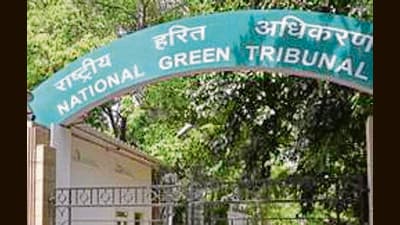 The direction was issued by the principal bench of the NGT while hearing an application. (HT Photo)