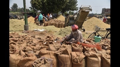 Union food ministry’s directions call for FIR, double recovery and ban against erring millers. (HT) Union food ministry’s directions call for FIR, double recovery and ban against erring millers. (HT)