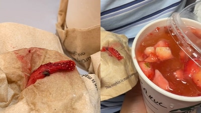 Dead fly spotted in Starbucks drink by customer. (Instagram/@thatsheengirl) Dead fly spotted in Starbucks drink by customer. (Instagram/@thatsheengirl)