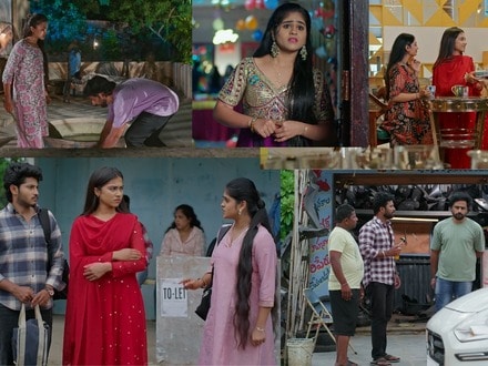 పొదరిల్లు సీరియల్ సెప్టెంబర్ 24 ఎపిసోడ్
