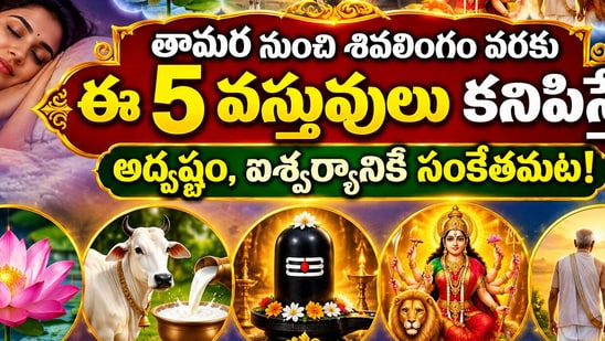 తామర పువ్వు నుంచి శివలింగం వరకు ఈ 5 వస్తువులు కనిపిస్తే అదృష్టం, ఐశ్వర్యానికి సంకేతమట! (AI)