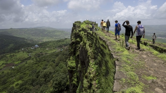The Western Ghats stretch 1,600 km along India's west coast, across Gujarat, Maharashtra, Goa, Karnataka, Tamil Nadu and Kerala.