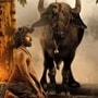 ఓటీటీలోకి రవితేజ తమ్ముడి కొడుకు సినిమా మారెమ్మ- క్షుద్రపూజలు, ఊరిని కాపాడే దున్నపోతు- స్ట్రీమింగ్ ఎక్కడంటే?

