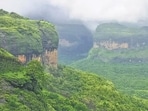 Protecting Western Ghats: K’taka seeks a ground survey, environmentalists back eco-zone