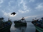 A fishing boat docks at the fish harbour in Chennai. (REUTERS FILE PHOTO)
