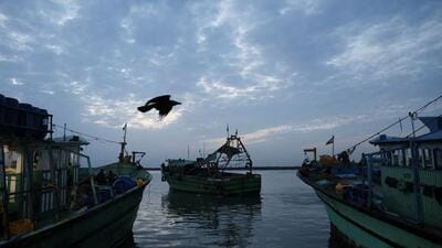 A fishing boat docks at the fish harbour in Chennai. (REUTERS FILE PHOTO)