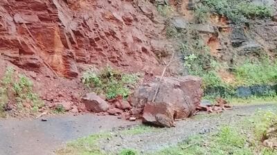 Rayagada was among the worst-affected districts, with heavy rain and strong winds uprooting trees and triggering landslides. (HT photo) Rayagada was among the worst-affected districts, with heavy rain and strong winds uprooting trees and triggering landslides. (HT photo)