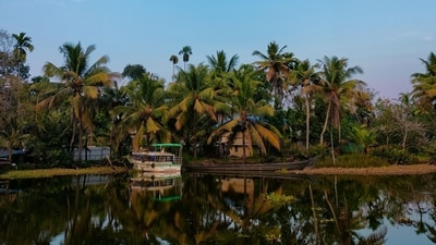 Pranav Dangi discusses the evolving nature of travel in Kerala, emphasising a shift towards slower, more intentional journeys. (Pexels) Pranav Dangi discusses the evolving nature of travel in Kerala, emphasising a shift towards slower, more intentional journeys. (Pexels)