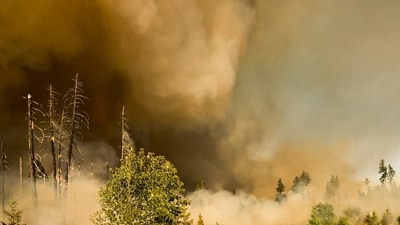 A wildfire near Benton City has triggered Level evacuation orders as officials warn residents of an immediate threat and urge them to leave.