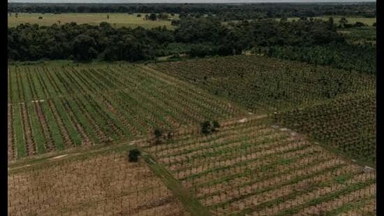 Villagers contend that the land recorded under the cultivation column was allotted to them under the applicable rules and has been used for agriculture for decades. (HT File)