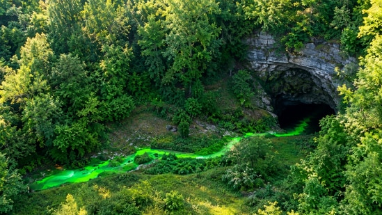 Mammoth Cave highlights groundwater interconnectivity through dye tracing.