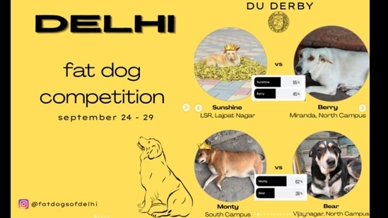 The contest will run from September 24 to 29.