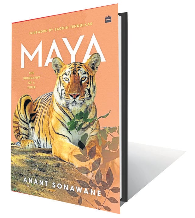 190pp, ₹699; HarperCollins 190pp, ₹699; HarperCollins