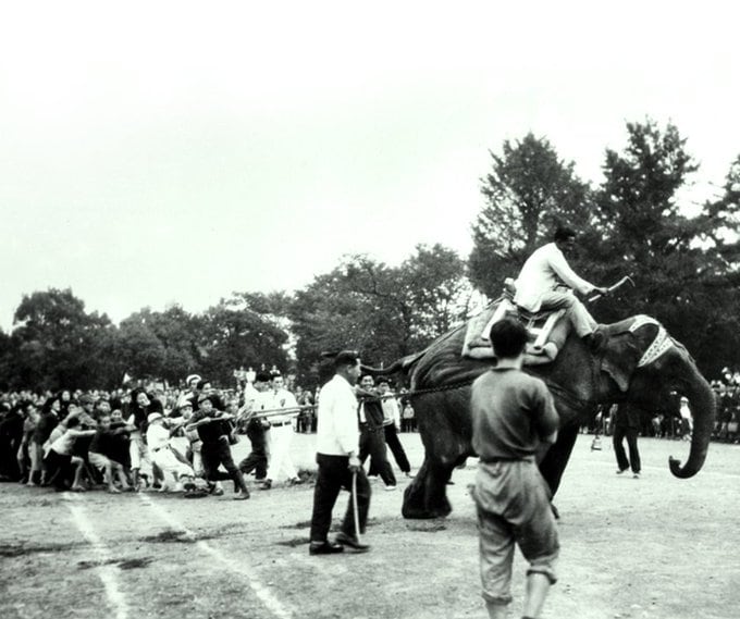Indian elephant "Indira", a gift from Pt Nehru to Japanese children, playing with kids at Tokyo's Ueno Zoo, 1949. (X/@INCIndia) Indian elephant "Indira", a gift from Pt Nehru to Japanese children, playing with kids at Tokyo's Ueno Zoo, 1949. (X/@INCIndia)