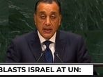At UNGA, Egypt demands Israel end Gaza violations, rejects Palestinian displacement
