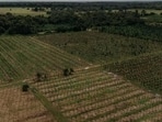 Villagers contend that the land recorded under the cultivation column was allotted to them under the applicable rules and has been used for agriculture for decades. (HT File)