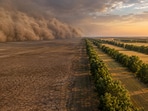 A historic tree-planting initiative from the 1930s continues to protect farms from wind and soil loss, highlighting long-term environmental strategies.(AI-generated/ChatGPT)