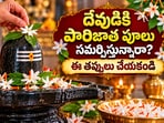 దేవుడికి పారిజాత పూలు సమర్పిస్తున్నారా? ఈ తప్పులు చేయకండి.. తప్పక పాటించాల్సిన నియమాలు తెలుసుకోండి!(AI)