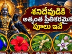 శనివారం పూజ: శనిదేవుడికి అత్యంత ప్రీతికరమైన పూలు ఇవే.. ఈ పూలతో పూజిస్తే అష్టైశ్వర్యాలు!(AI)
