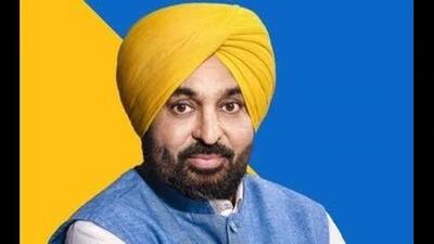 Punjab CM Bhagwant Mann (HT File)