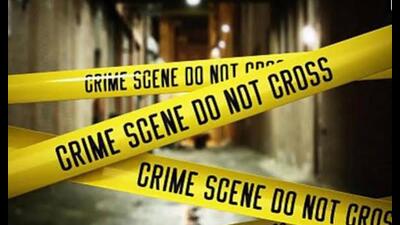 The deceased has been identified as Pyari Devi, 70, while her son Rajesh, 38, sustained injuries in the attack.  (HT File)