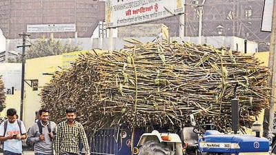 The mills are located in Nashik, Chhatrapati Sambhajinagar, Solapur and Satara districts. (REPRESENTATIVE PHOTO)