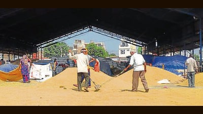 Traders attributed the rise in basmati prices to the steady growth in India’s rice exports. (HT File)