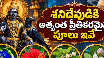 శనివారం పూజ: శనిదేవుడికి అత్యంత ప్రీతికరమైన పూలు ఇవే.. ఈ పూలతో పూజిస్తే అష్టైశ్వర్యాలు! (AI)