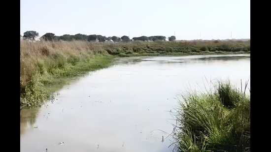 Biggest water body which is part of the Mailhan lake cluster in Phulpur area of Prayagraj (HT)