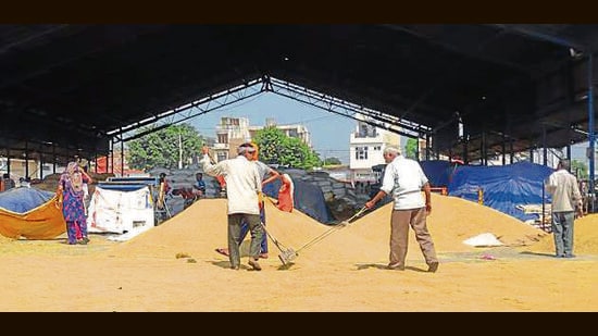Traders attributed the rise in basmati prices to the steady growth in India’s rice exports. (HT File)