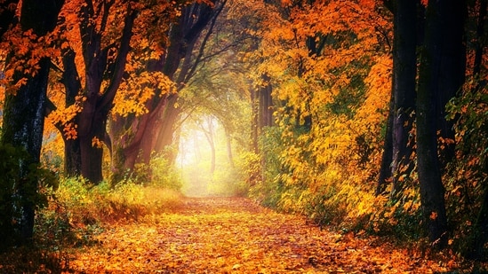 An astrologer has a different way to look at time with the arrival of autumn.