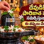 దేవుడికి పారిజాత పూలు సమర్పిస్తున్నారా? ఈ తప్పులు చేయకండి.. తప్పక పాటించాల్సిన నియమాలు తెలుసుకోండి!
