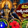 శనివారం పూజ: శనిదేవుడికి అత్యంత ప్రీతికరమైన పూలు ఇవే.. ఈ పూలతో పూజిస్తే అష్టైశ్వర్యాలు!